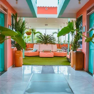 Hostal Flamingo & Coworking, Santa Marta (Magdalena)